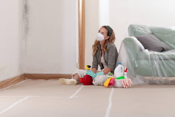 Reliable Mold Remediation contractor in Freeport, NY by WQB Mold Removal